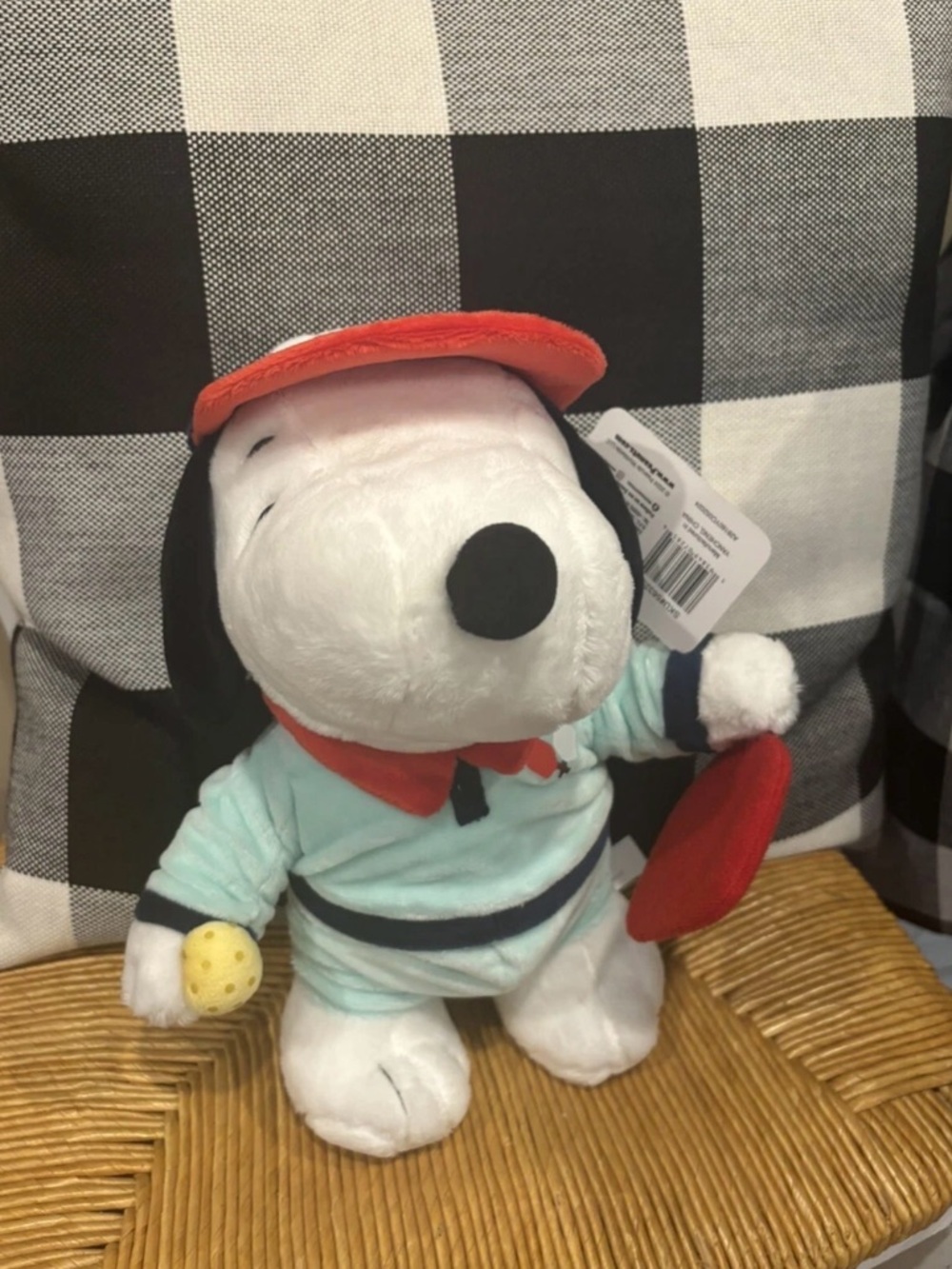 Pickleball SNOOPY CVS Summer Peanuts Paddleball